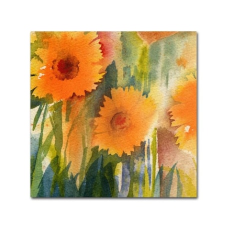 Sheila Golden 'Orange Wild Flowers' Canvas Art,18x18